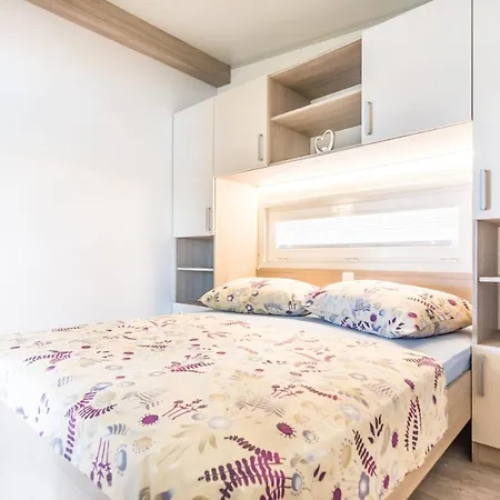 Mobile Rock Rose 2 * تكون